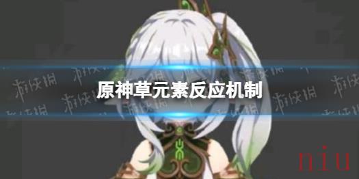 原神草元素反应有哪些