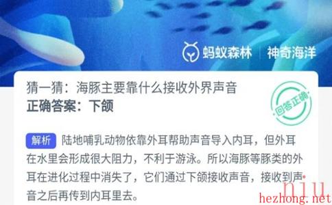 神奇海洋正确答案9.26