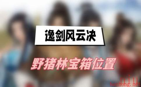 野猪林宝箱位置介绍