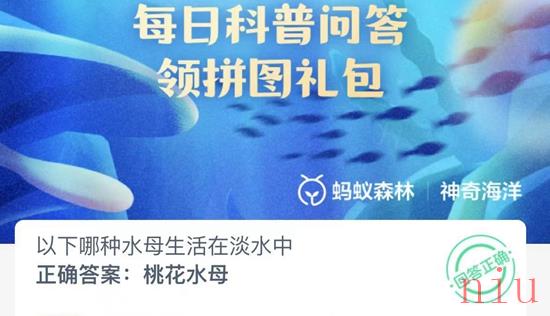 神奇海洋正确答案6.16