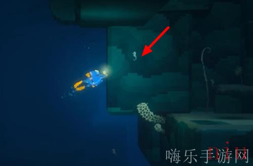 潜水员戴夫白色海马在哪抓