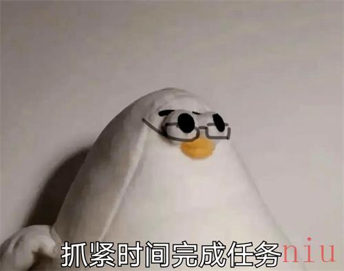 马兆海鸥是什么意思