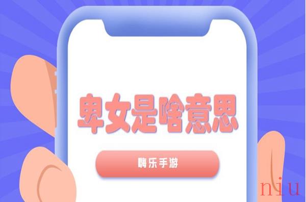 卑女是啥意思