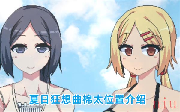 夏日狂想曲棉太在哪找到他