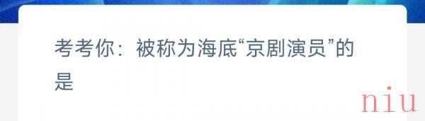 神奇海洋正确答案4.6
