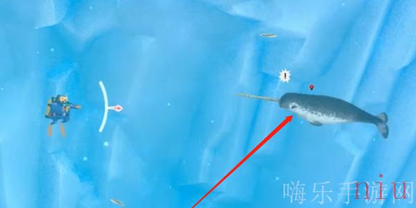 潜水员戴夫独角鲸怎么抓