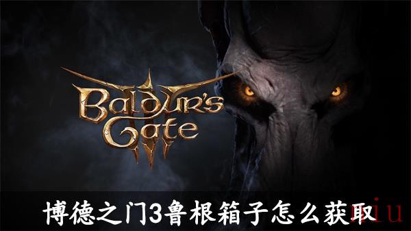 博德之门3鲁根箱子怎么获取