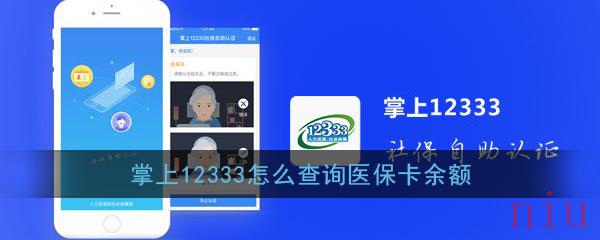 掌上12333怎么查询医保卡余额