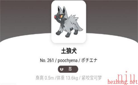 宝可梦朱紫土狼犬属性介绍
