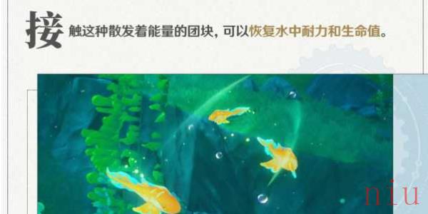原神枫丹水下冒险指南攻略