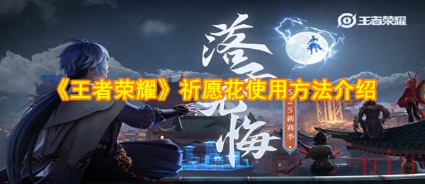 王者荣耀祈愿花怎么用