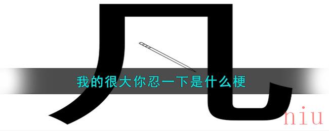 我的很大你忍一下梗表情包