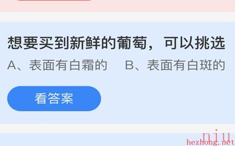 想要买到新鲜的葡萄，可以挑选蚂蚁庄园5.16答案