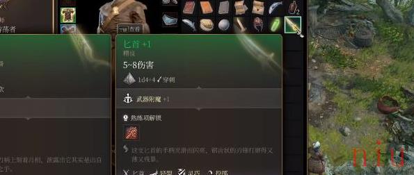 博德之门3烤肉匕首怎么获得