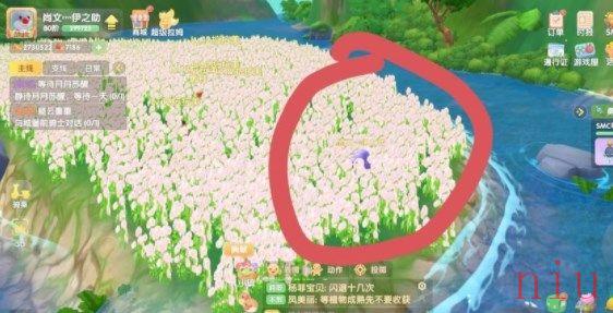 蝴蝶捕捉方法技巧分享