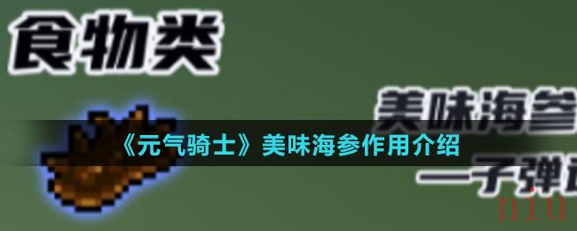 元气骑士美味海参有什么作用