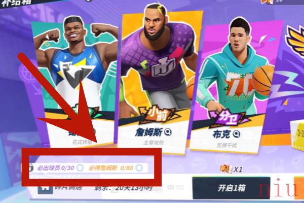 全明星街球派对詹姆斯多少钱