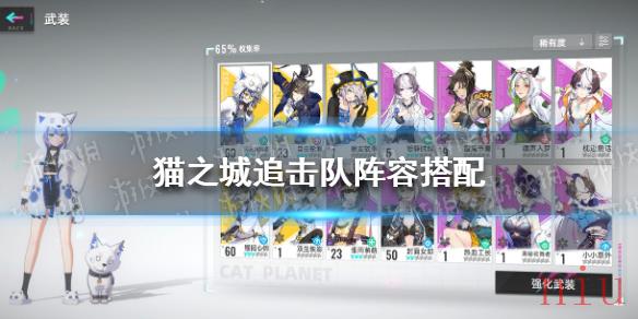 猫之城追击队怎么搭配
