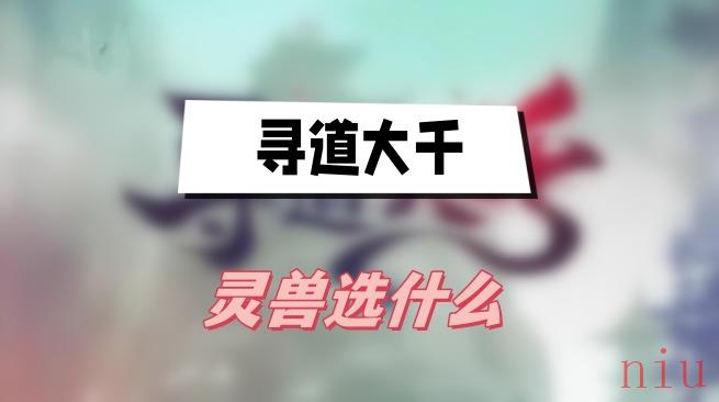 寻道大千灵兽选什么