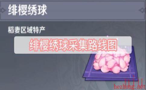 绯樱绣球采集路线图