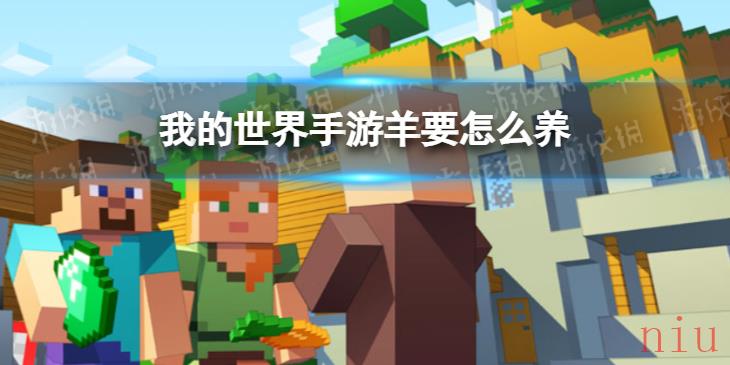 我的世界羊要怎么养