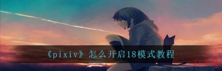 pixiv怎么开启18模式