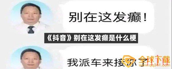 抖音别在这发癫是是什么意思