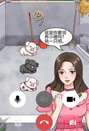 就挺秃然的认养一头猪攻略