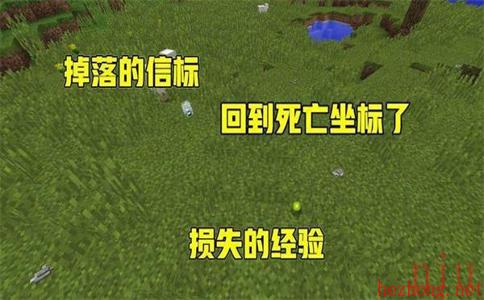 重回死亡点的指令分享