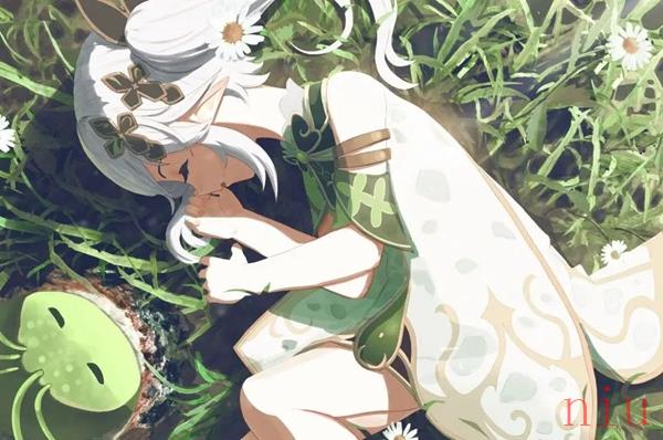 原神种门配队推荐