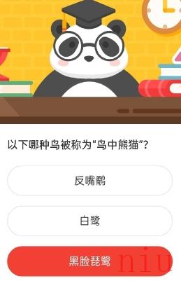 被称为鸟中熊猫的鸟是