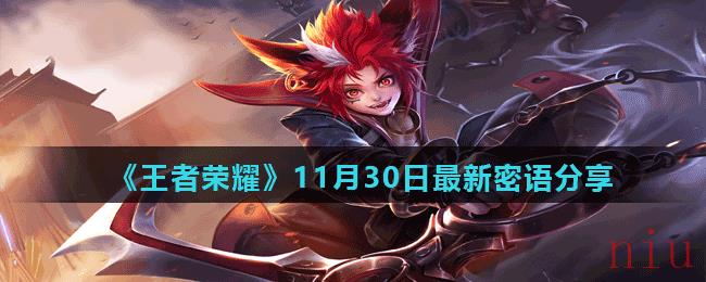 王者荣耀11月30日最新密语有哪些