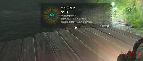 王国之泪残旧的发夹在哪