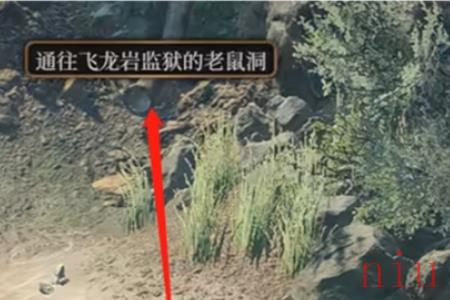 博德之门3不寻常的头骨谜语介绍