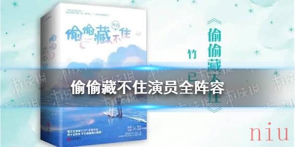 偷偷藏不住演员全阵容 偷偷藏不住电视剧阵容介绍