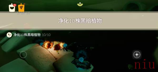 光遇7月7日每日任务