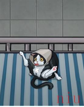 疯狂爆梗王宠物医院攻略