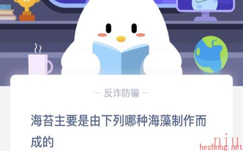 海苔由哪种海藻制作而成