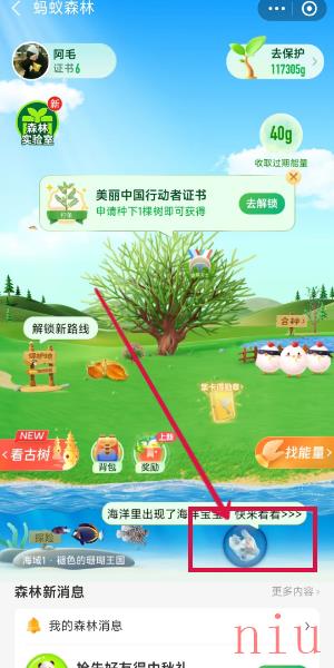 蚂蚁森林神奇海洋今日答案