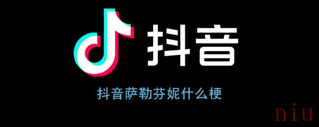 抖音萨勒芬妮什么梗