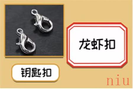 就挺秃然的它的名字怎么过