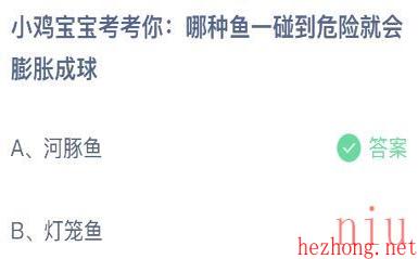 蚂蚁庄园今天答案5月25日