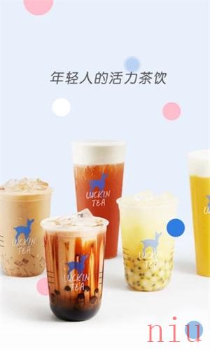 小鹿茶app下载