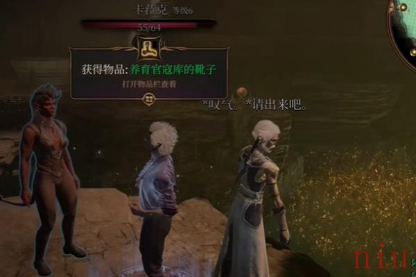 博德之门3光耀会偷蛋怎么做