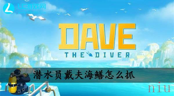 潜水员戴夫海鳝怎么抓