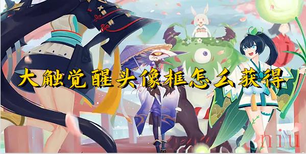 大触觉醒插画活动介绍