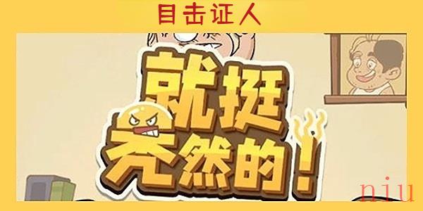 就挺秃然的目击证人