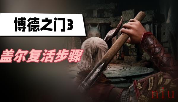 盖尔复活步骤介绍