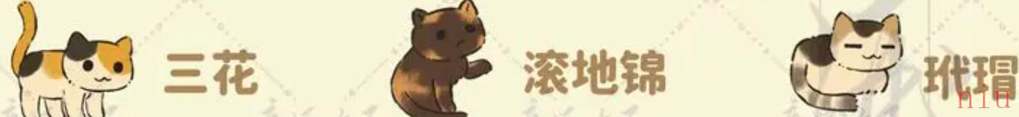 猫咪喜好一览
