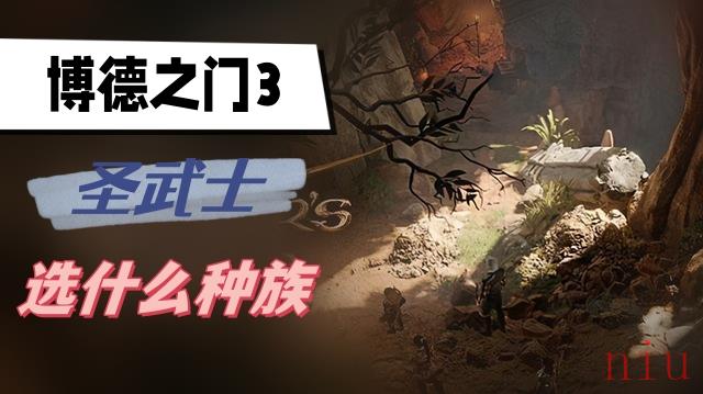 博德之门3圣武士选什么种族